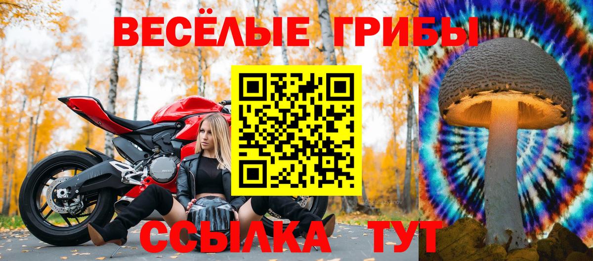 Карпинск  Галлюциногенные грибы ЛСД  Псилоцибиновые грибы Psilocybe  Вход с VPN 